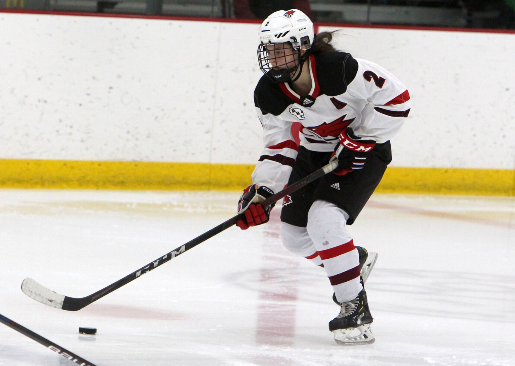 Hudson at Chippewa Falls/Menomonie girls hockey 1-17-23